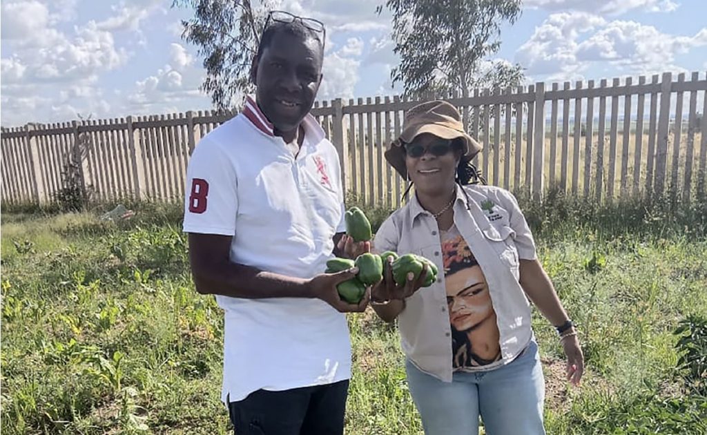 Catalysing Technology Transfer between Small Holder Farmers in Kenya and South Africa