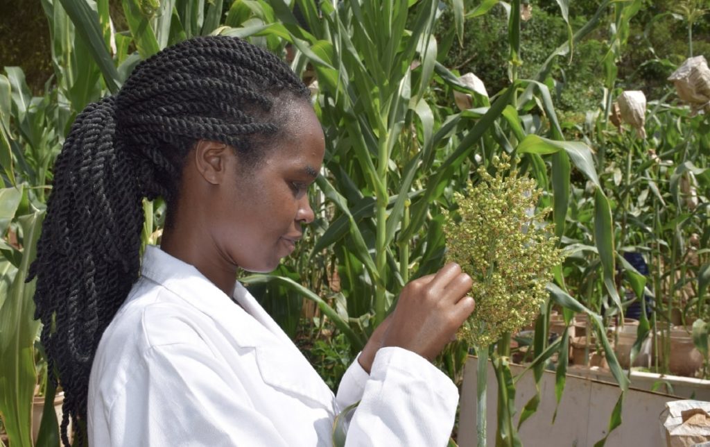 The Mawazo Institute: Home of African Female Researchers